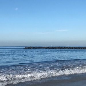 Meet your Posher, Toni